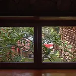 Papaya La Azócar Apartamento