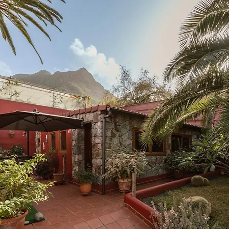 Papaya La Azocar * Punta Del Hidalgo