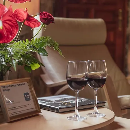 Papaya La Azocar Punta Del Hidalgo