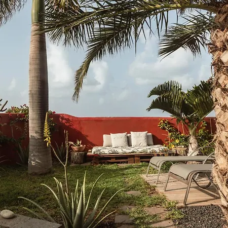 Papaya La Azocar * Punta Del Hidalgo