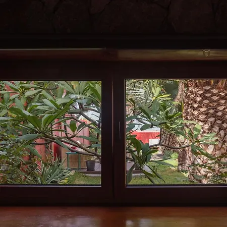 Papaya Apartment