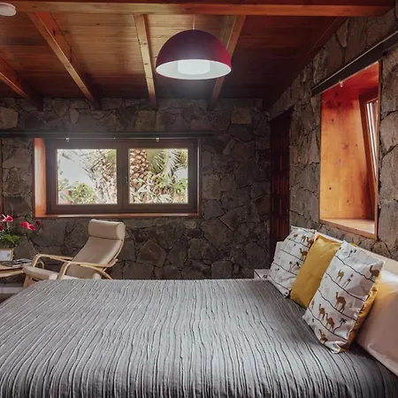 Papaya La Azocar * Punta Del Hidalgo