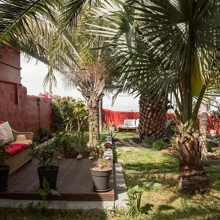 Papaya La Azocar Appartement *