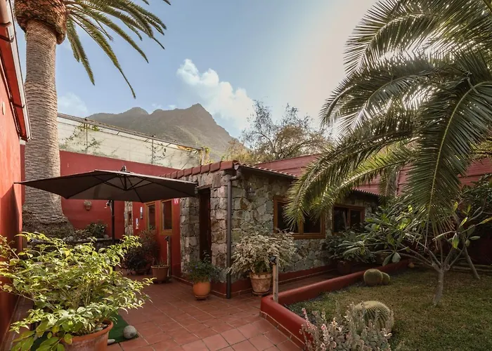 Papaya La Azocar * Punta Del Hidalgo