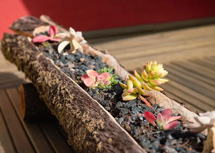 Papaya La Azócar Apartman *