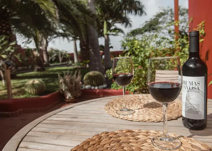 Papaya La Azócar Apartman Punta del Hidalgo