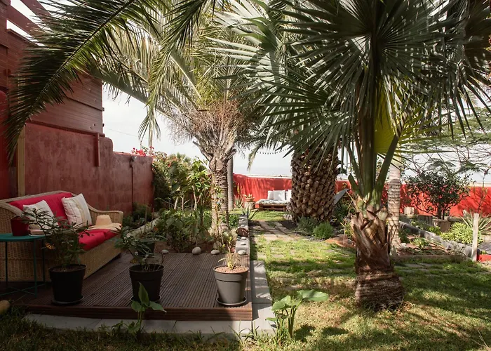 Papaya La Azocar Διαμέρισμα *