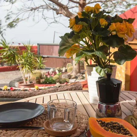 Daire Papaya La Azocar *