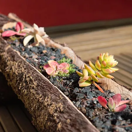 Papaya La Azocar Apartmán *