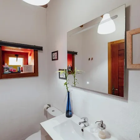 Papaya La Azocar * Punta Del Hidalgo