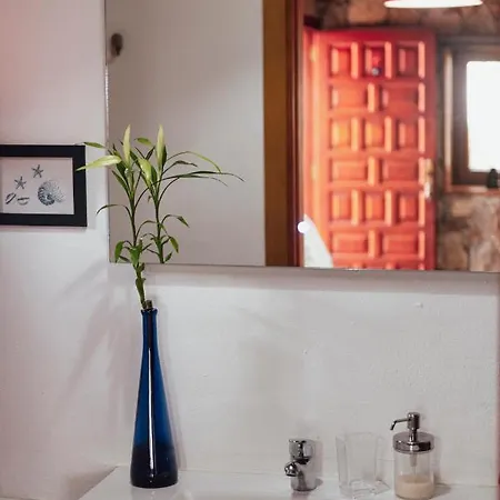 Papaya La Azocar Daire