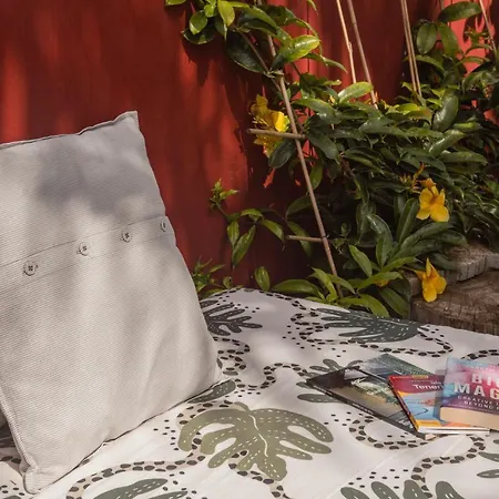 Papaya La Azocar * Punta Del Hidalgo