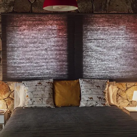 Papaya La Azocar Daire *