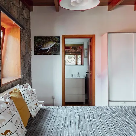 Papaya La Azocar Apartment